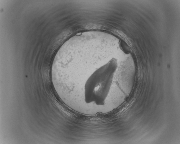 X0000075810441200610151434