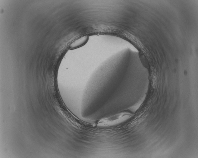 X0000075810442200610151434