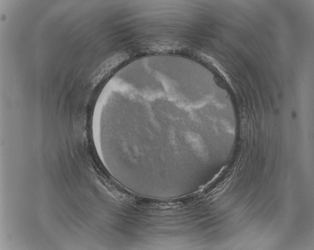 X0000075810443200610151434