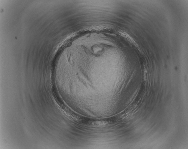 X0000075810444200610151434