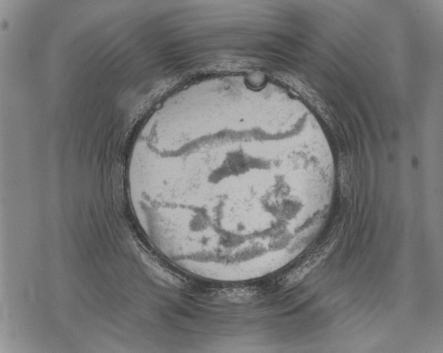 X0000075810445200610151434