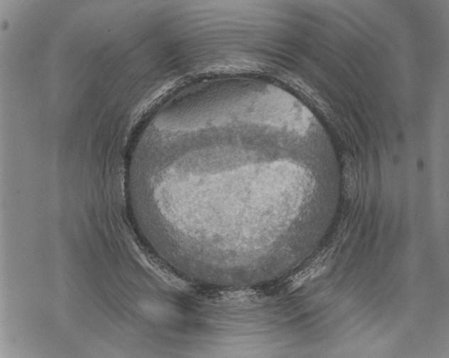 X0000075810446200610151434