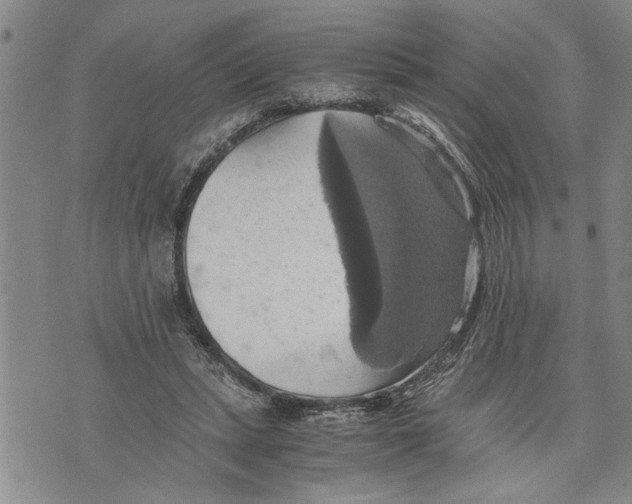 X0000075810447200610151434