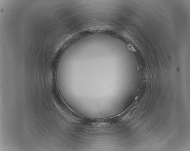 X0000075810448200610151434