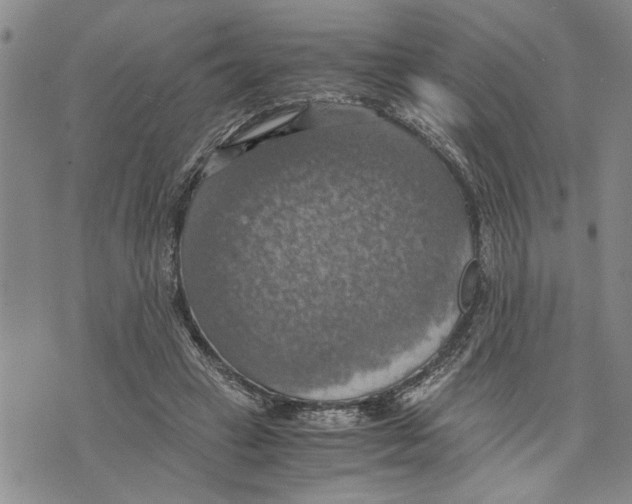 X0000075810449200610151434