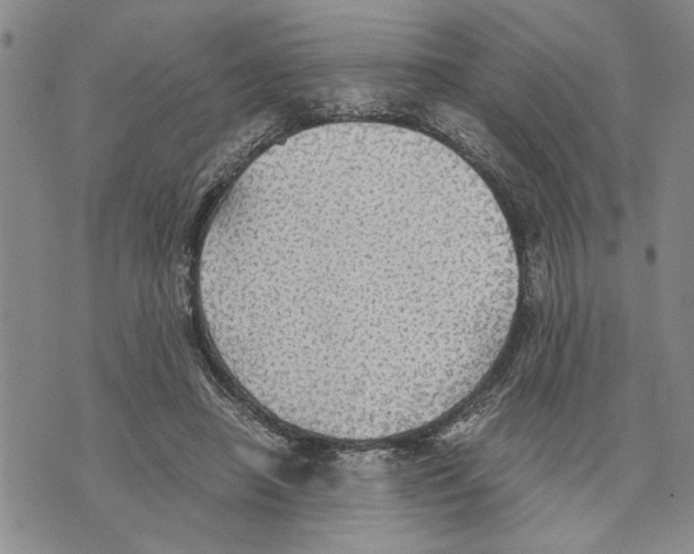 X0000075810450200610151434