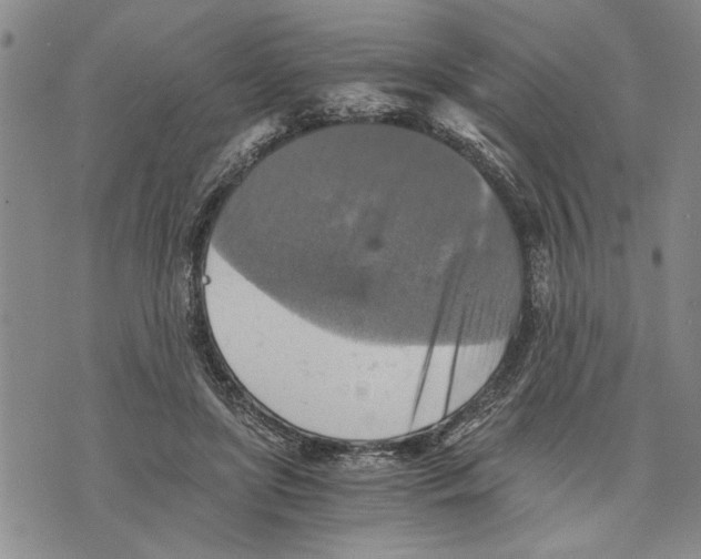 X0000075810451200610151434