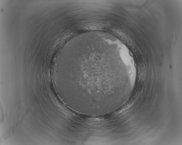 X0000075810453200610151434