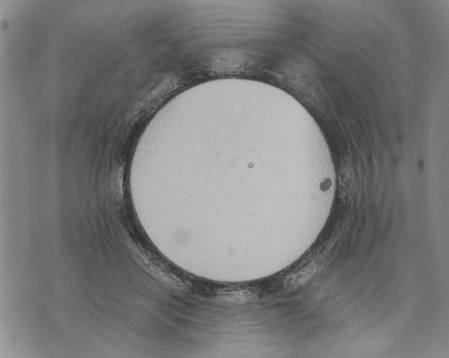 X0000075810454200610151434