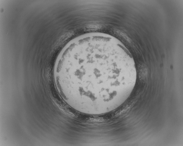 X0000075810455200610151434