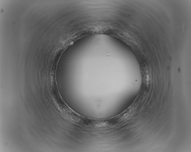 X0000075810456200610151434