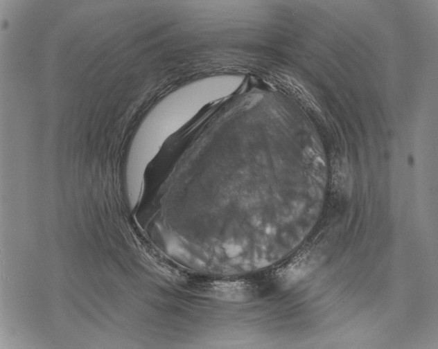 X0000075810457200610151434