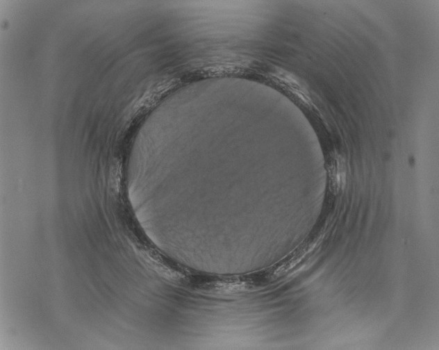 X0000075810458200610151434