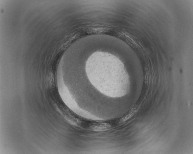 X0000075810459200610151434