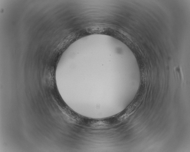 X0000075810460200610151434