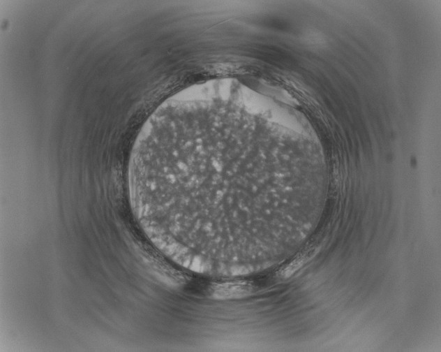 X0000075810461200610151434