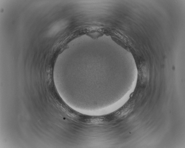 X0000075810462200610151434