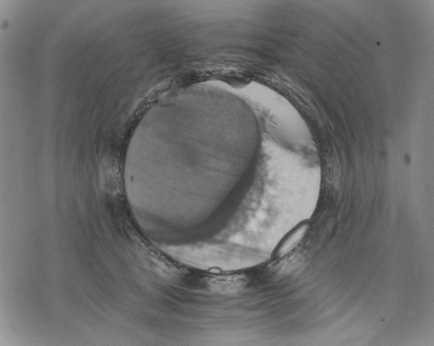 X0000075810465200610151434