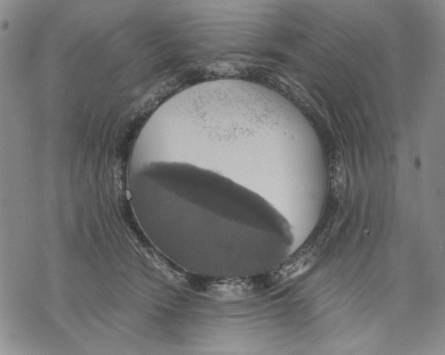 X0000075810466200610151434