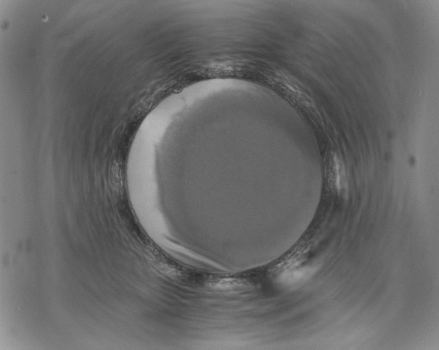 X0000075810467200610151434