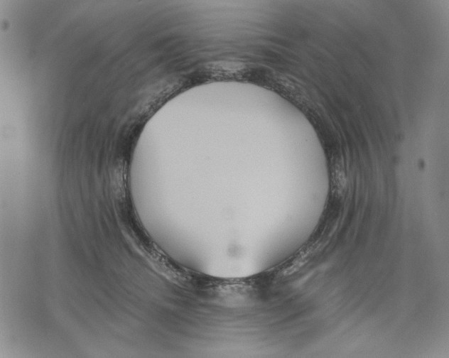 X0000075810468200610151434