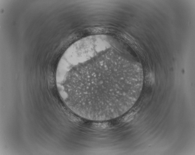 X0000075810469200610151434