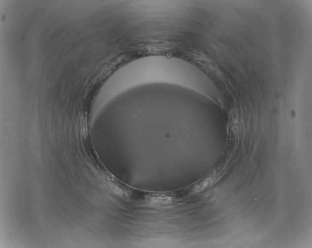 X0000075810471200610151434