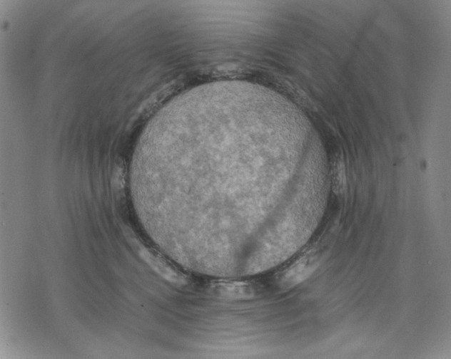 X0000075810472200610151434