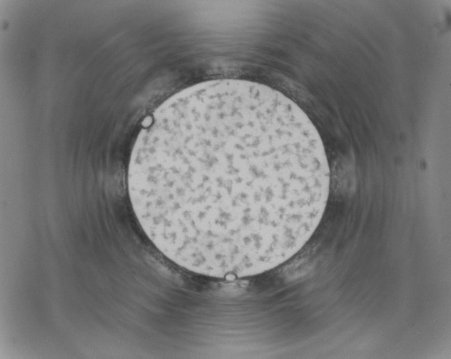 X0000075810474200610151434