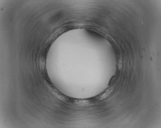 X0000075810476200610151434