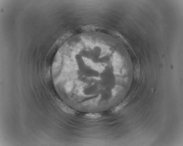 X0000075810477200610151434