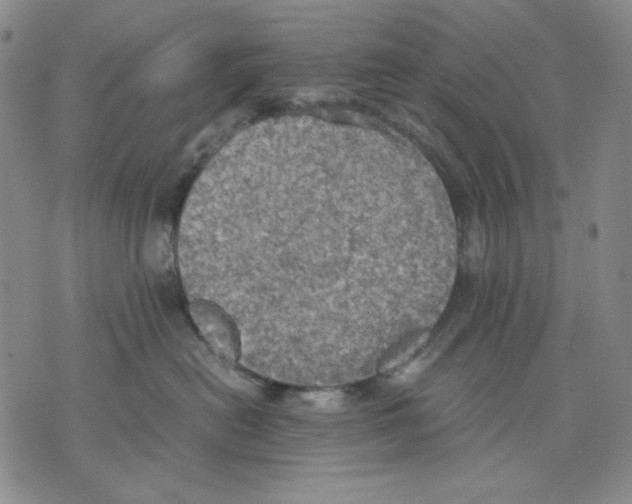 X0000075810478200610151434