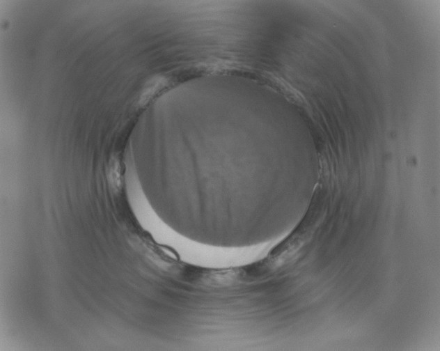 X0000075810479200610151434