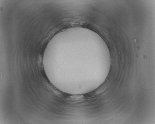 X0000075810480200610151434