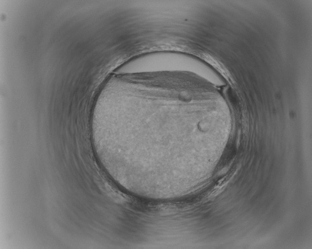 X0000075810481200610151433