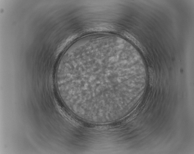 X0000075810482200610151433