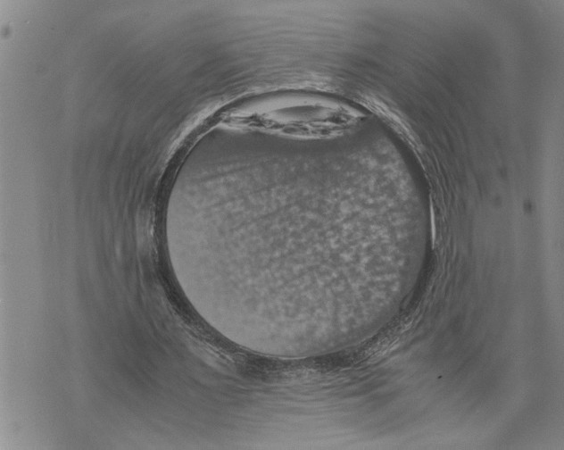 X0000075810483200610151433