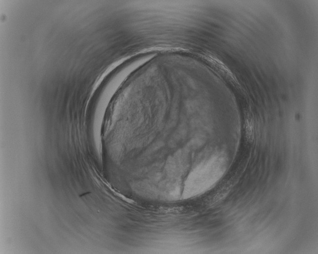 X0000075810484200610151433