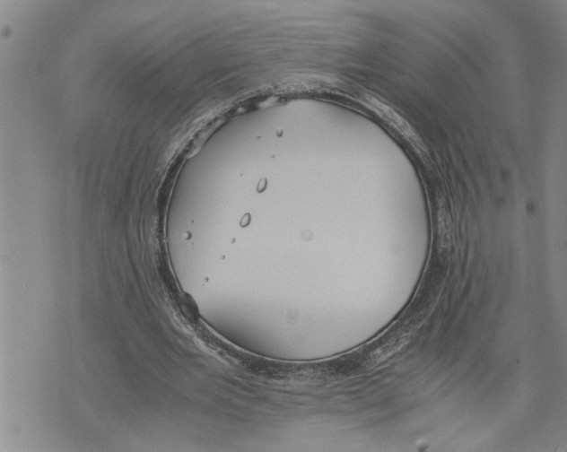 X0000075810485200610151433