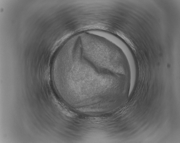 X0000075810486200610151433