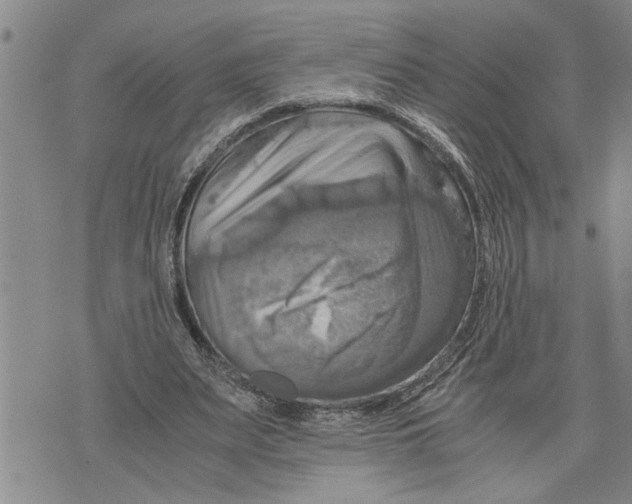 X0000075810487200610151433