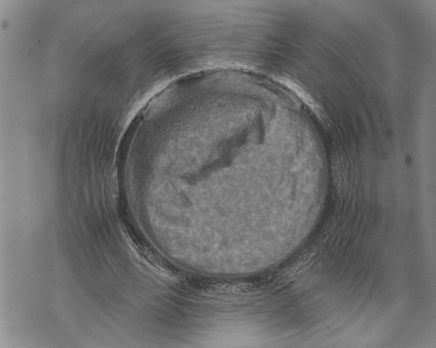 X0000075810488200610151433