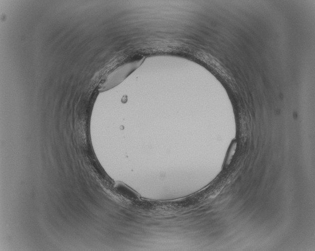 X0000075810489200610151433