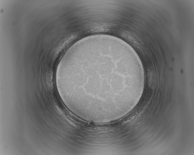 X0000075810490200610151433