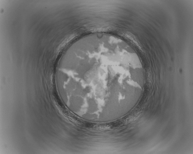 X0000075810491200610151433