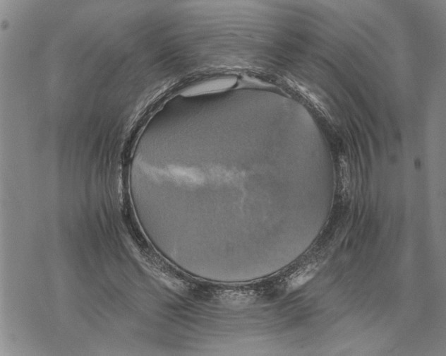 X0000075810494200610151433