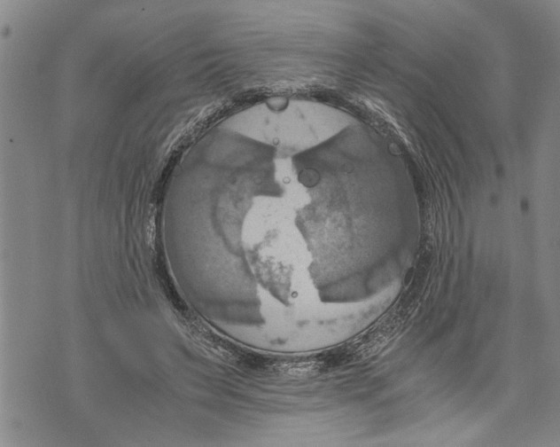 X0000075810495200610151433