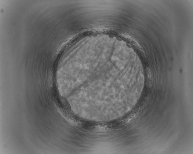 X0000075810496200610151433