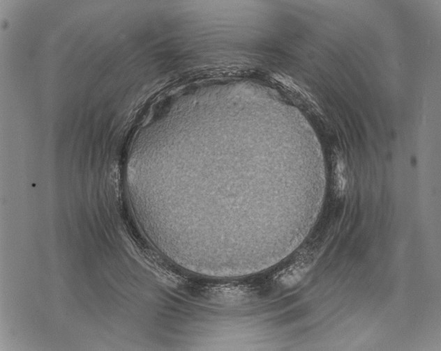 X0000075810498200610151433