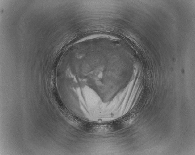 X0000075810499200610151433